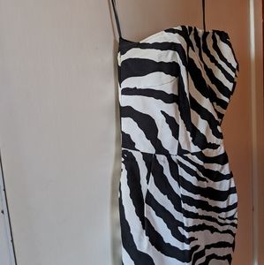 Zebra Print Dress